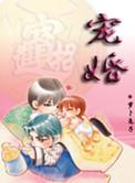 宠婚 在线阅读