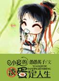 小妾的欢悦