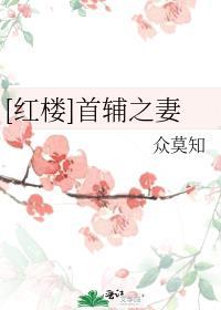 首辅夫人txt