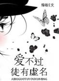 爱不过徒有虚名绿枢书包网