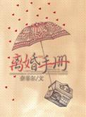 离婚指南pdf