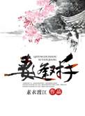 妻逢对手素衣渡江TXT全本阅读最新章