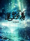 穿越魔皇武尊讲的是什么