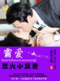 霸宠小蛮妻