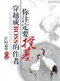 穿成boss的作者你注定要搅基础知乎