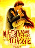 贴身保镖女主角