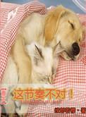 这个节奏