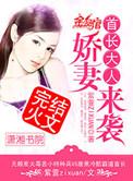 首长大人私宠妻全文免费阅读