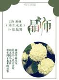 重生未来之幻师完结