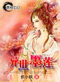异世墨莲完整版