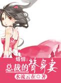 总裁的替身前妻免费阅读
