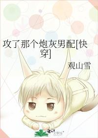 攻了那个炮灰男配青百度