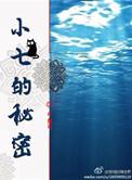 小七秘密武器