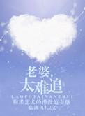老婆太难追番外