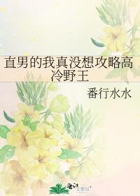 我真的是直男破解版