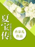 重生夏宝传书评