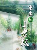 重生之小老板晋江