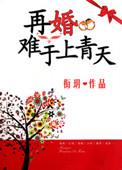 再婚也不错全文阅读
