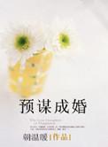 预谋成婚书包网