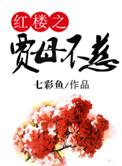 红楼之贾母重生txt
