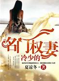 名门之恋冷少辰和童若