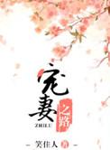 宠妻之路完整版