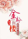 金粉银楼剧情介绍分集