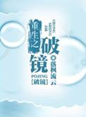 重生之破镜by落枫流云全文阅读
