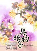 契约娘子有多少集