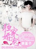 独家宠婚完整版免费阅读