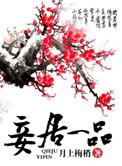 妾居一品作者月上梅梢