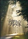 绑嫁普法栏目剧