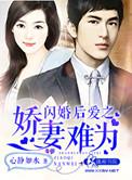 闪婚娇妻惹人疼全文免费读