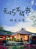 无巧不成书高级表达