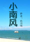 小南风开车部分