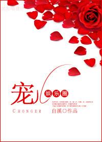 宠儿在线阅读