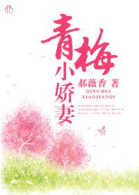 小青梅第32章