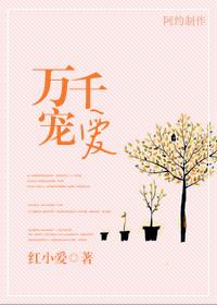万千宠爱原著
