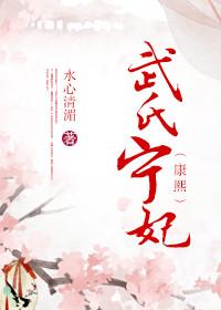 宁妃武氏
