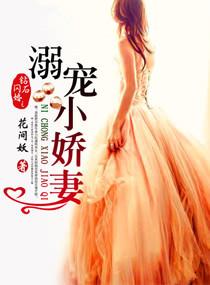 钻石闪婚之溺宠小娇妻笔趣阁