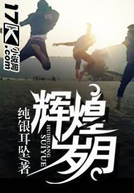 辉煌岁月免费阅读全文