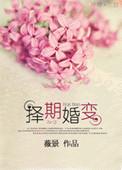 择期婚变书评