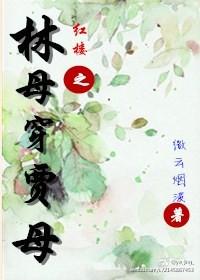穿越红楼贾母文