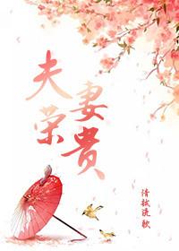 夫荣妻贵最佳下一句