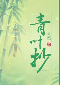 青叶抄男主为啥娶了几个老婆