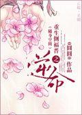 侧福晋生子宠妃文