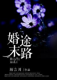 婚途未晚全文阅读