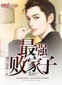 最强败家子纳兰凌风免费