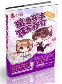 暖妻成瘾全文可以从哪看