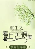 看上去很美主要讲了什么